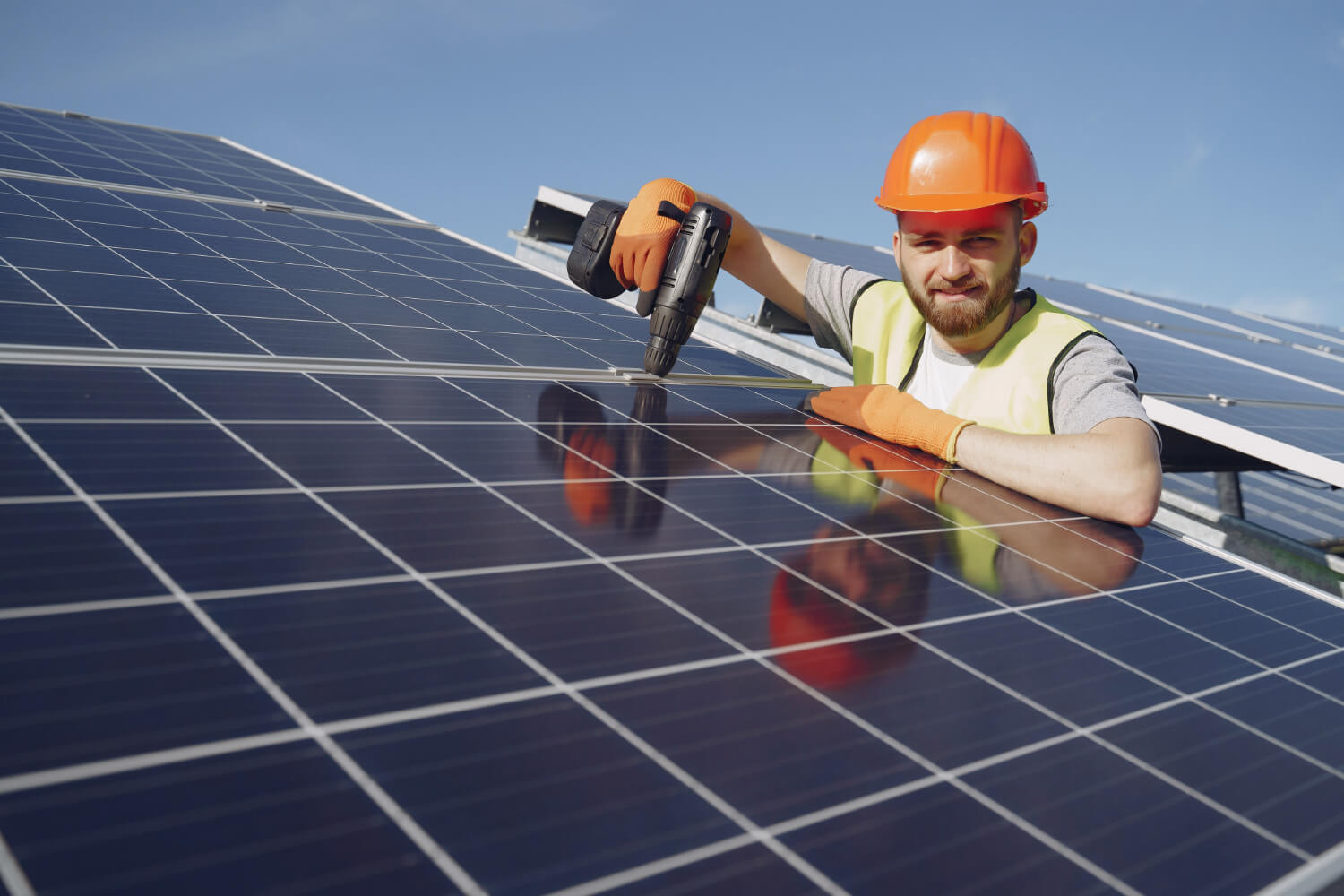 You are currently viewing Pigeon Guard for Solar Panels